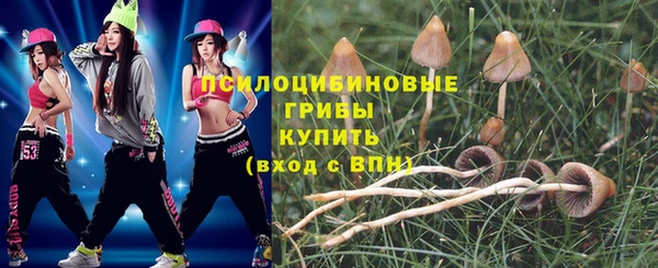мдпв Беломорск