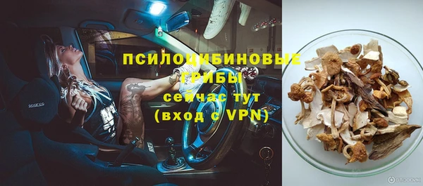 мдпв Беломорск