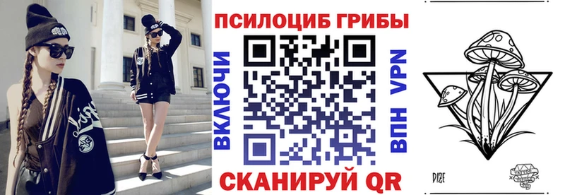сколько стоит  Кодинск  Псилоцибиновые грибы Psilocybe 